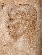 LEONARDO da Vinci Master of the Pala Sforzesca, profile of an old man oil painting reproduction